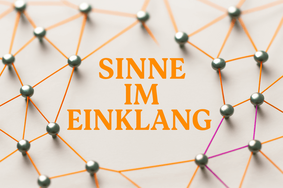 Sinne im Einklang Netzwerk